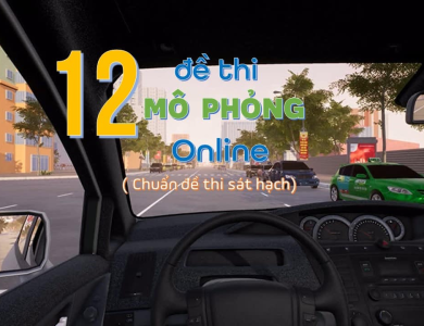 Thi mô phỏng