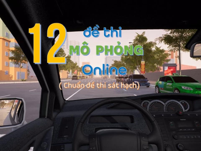 Thi mô phỏng